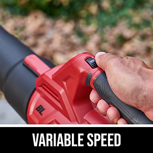 SKIL PWR CORE 20️ Brushless 400CFM Leaf Blower Kit