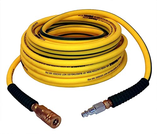 Rolair Noodle Air Compressor Hose with Fittings - 1/4In X 50Ft